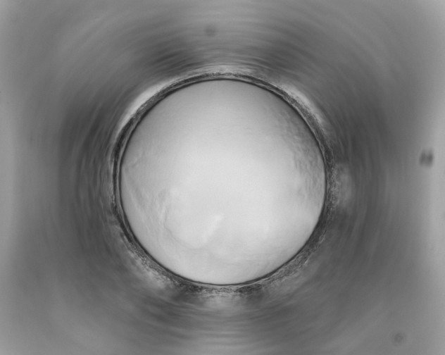 X0000091590886200709051119