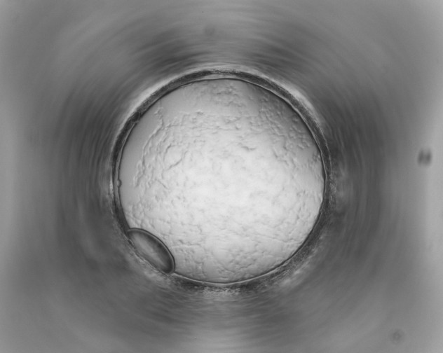 X0000091590887200709051119