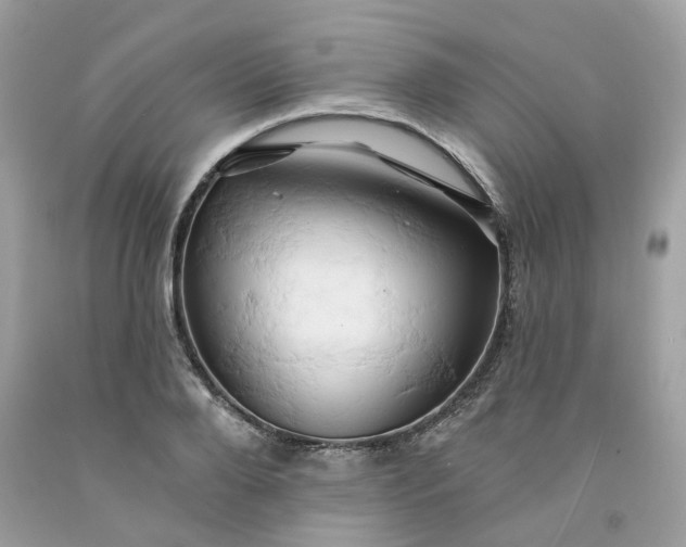 X0000091590888200709051119