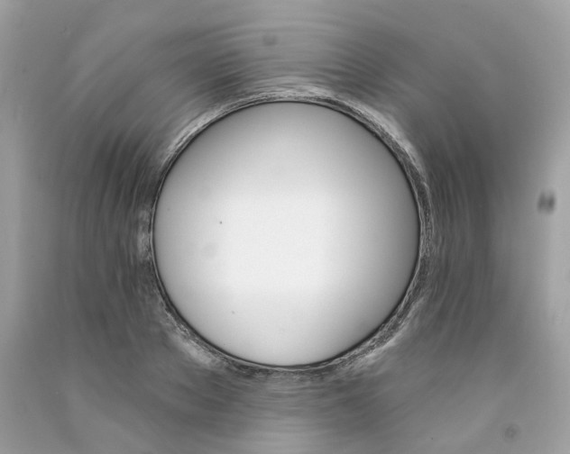 X0000091590889200709051119