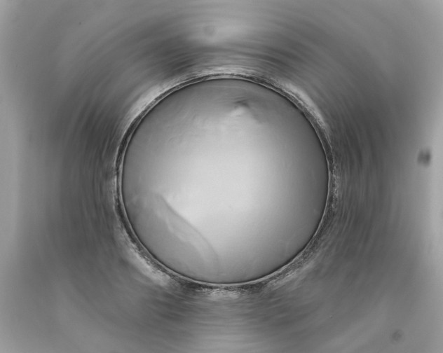 X0000091590890200709051119
