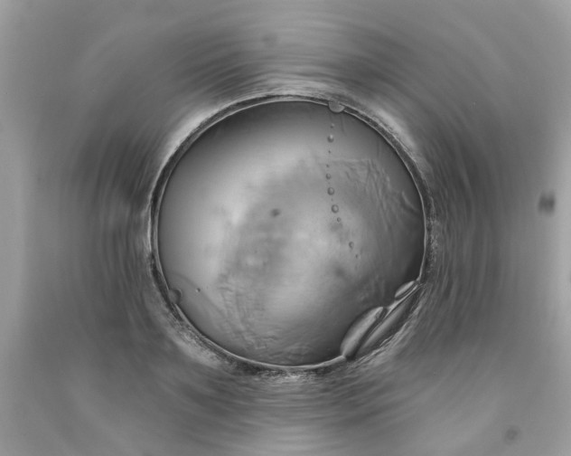 X0000091590891200709051119
