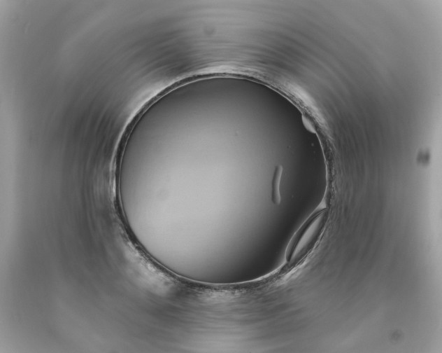 X0000091590892200709051119