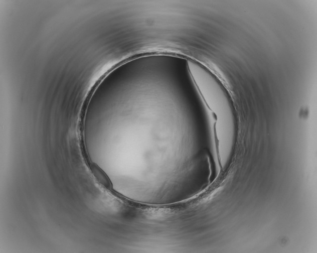 X0000091590893200709051119