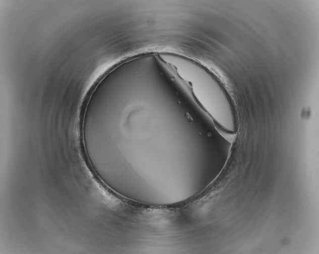 X0000091590894200709051119