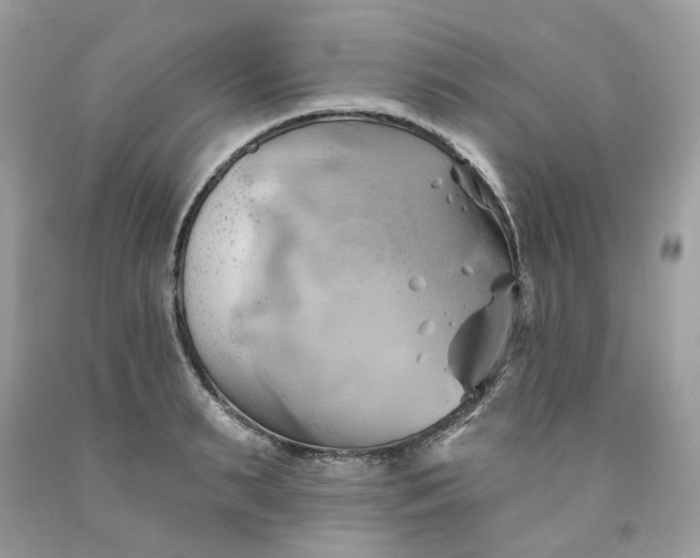 X0000091590895200709051119