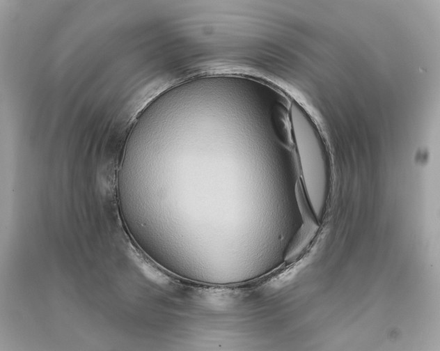 X0000091590897200709051119