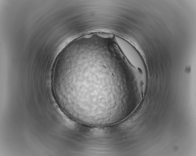 X0000091590898200709051119