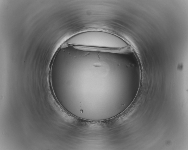 X0000091590899200709051119