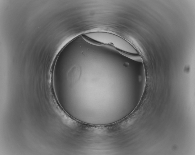 X0000091590900200709051119