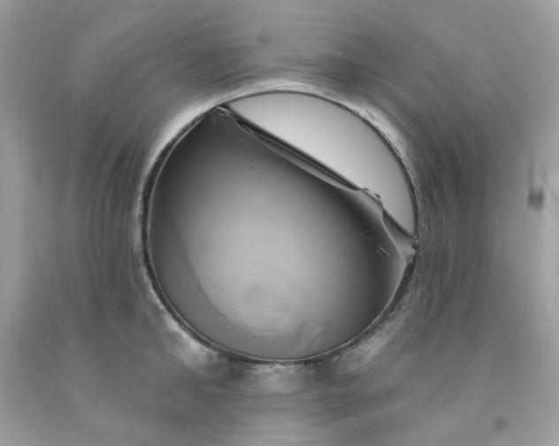 X0000091590902200709051119