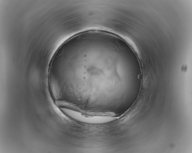 X0000091590903200709051119