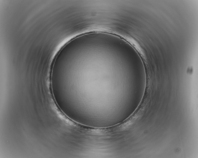X0000091590904200709051119