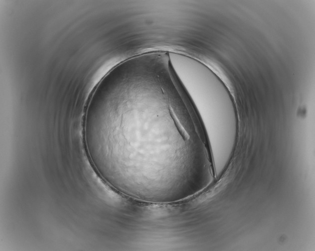 X0000091590906200709051119