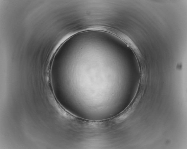 X0000091590908200709051119
