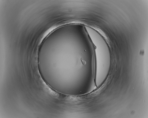 X0000091590910200709051119