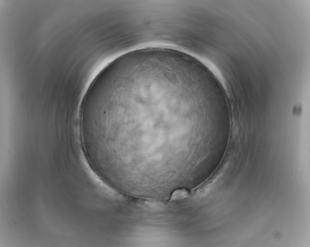 X0000091590911200709051119