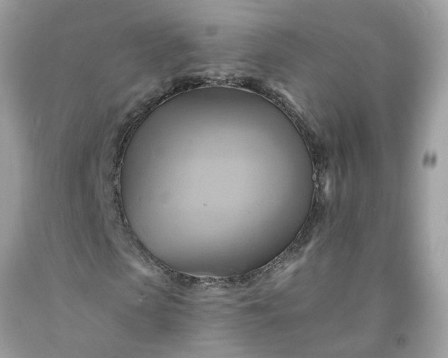 X0000091590913200709051118