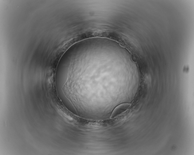 X0000091590914200709051118