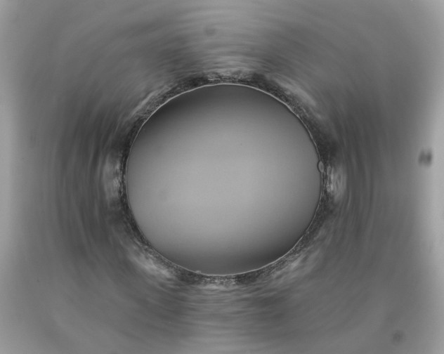 X0000091590915200709051118
