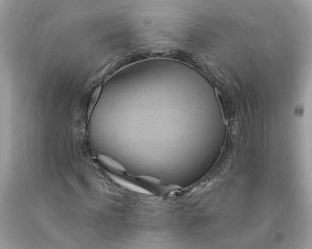 X0000091590916200709051118