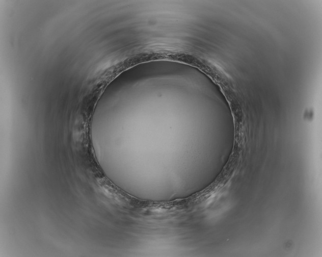 X0000091590917200709051118
