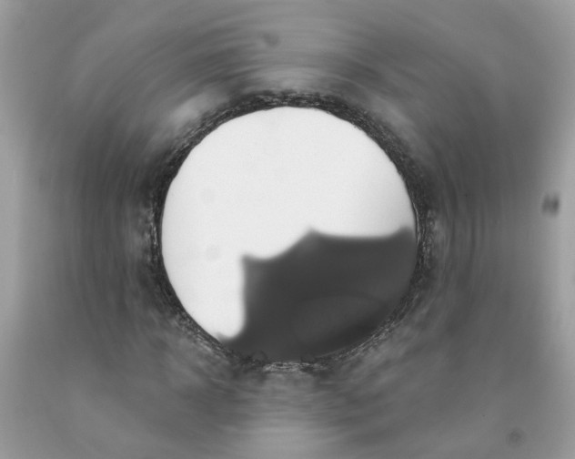 X0000091590918200709051118