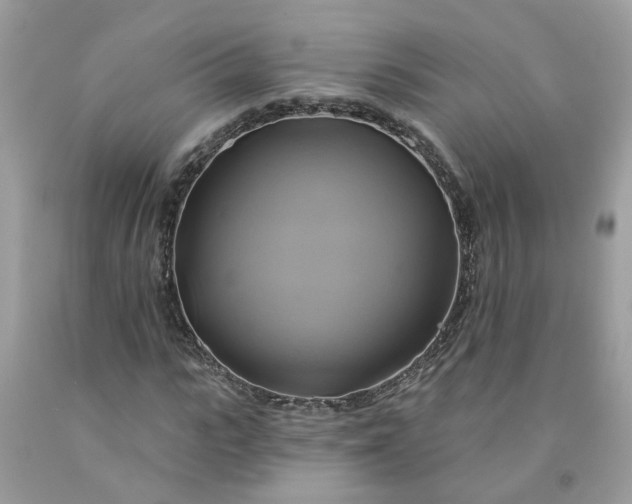 X0000091590919200709051118
