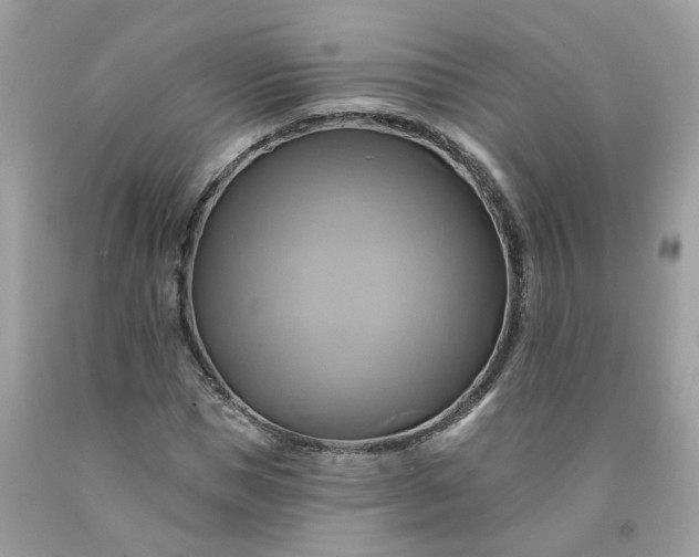 X0000091590921200709051118
