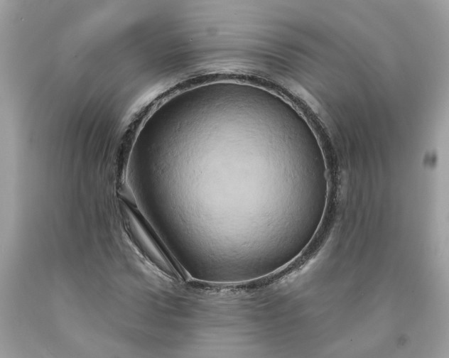 X0000091590922200709051118