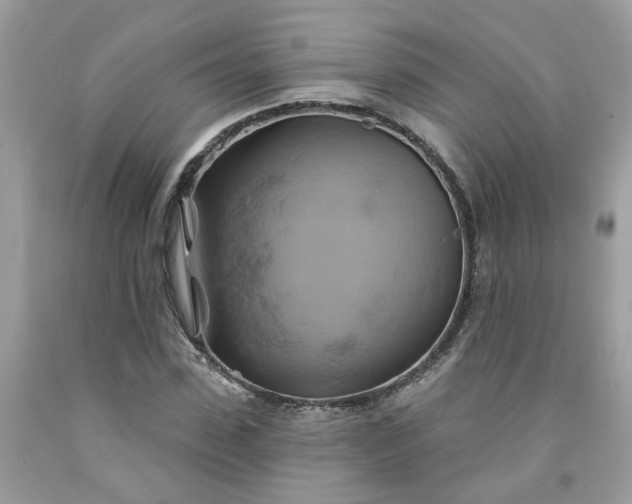 X0000091590923200709051118