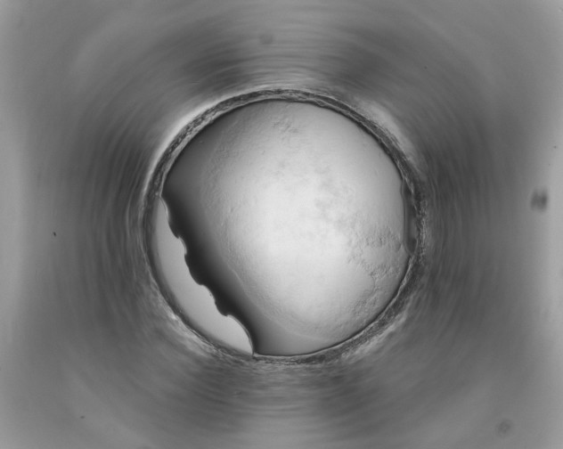 X0000091590924200709051118