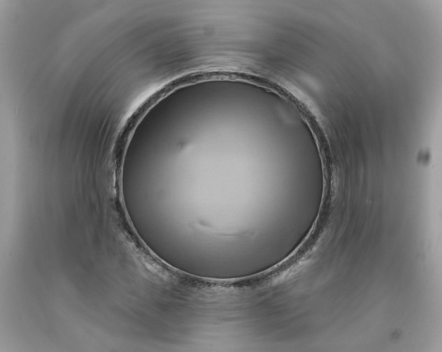 X0000091590925200709051118