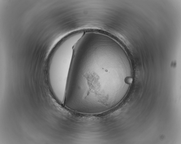 X0000091590926200709051118