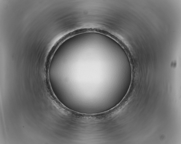 X0000091590927200709051118