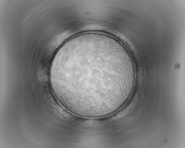 X0000091590929200709051119