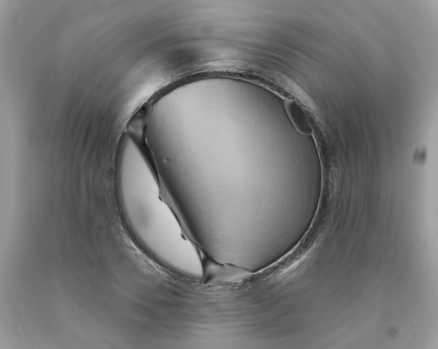 X0000091590930200709051119