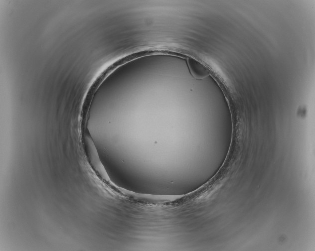 X0000091590932200709051119