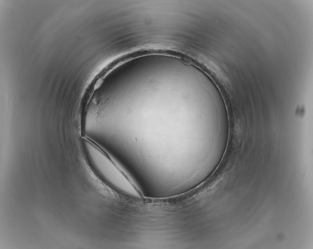 X0000091590934200709051119