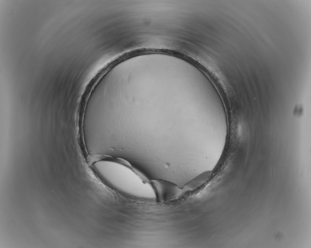 X0000091590935200709051119