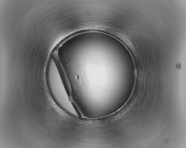 X0000091590936200709051119