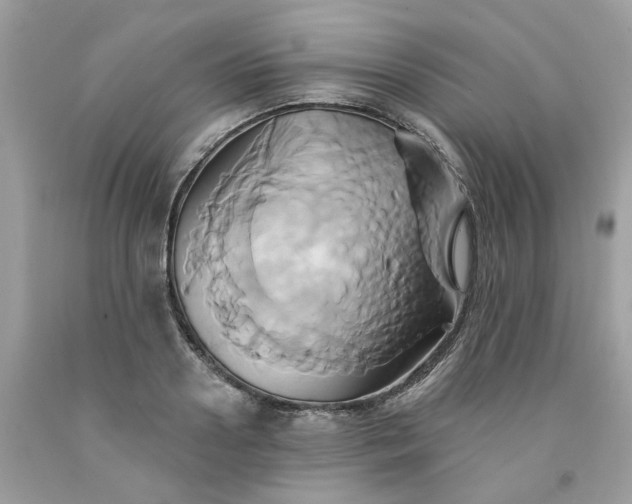 X0000091590938200709051119