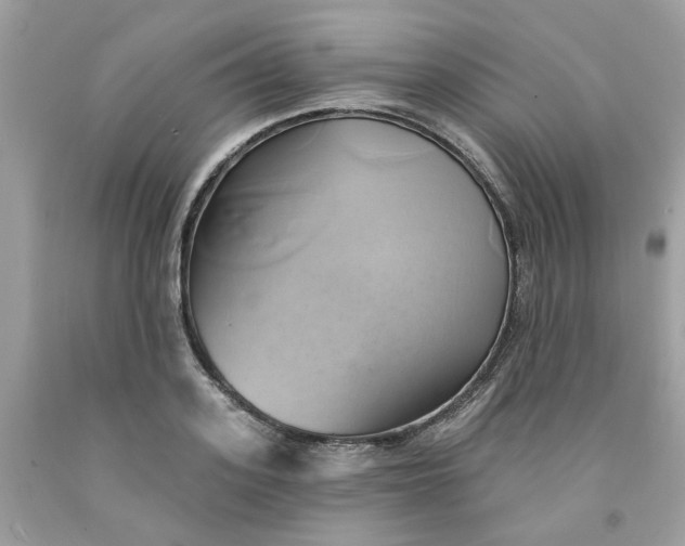 X0000091590939200709051119