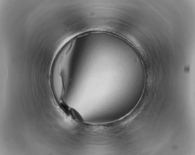 X0000091590940200709051119