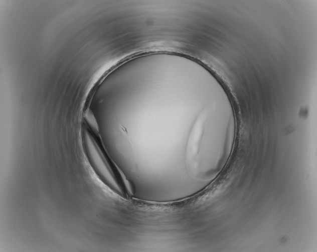 X0000091590941200709051119