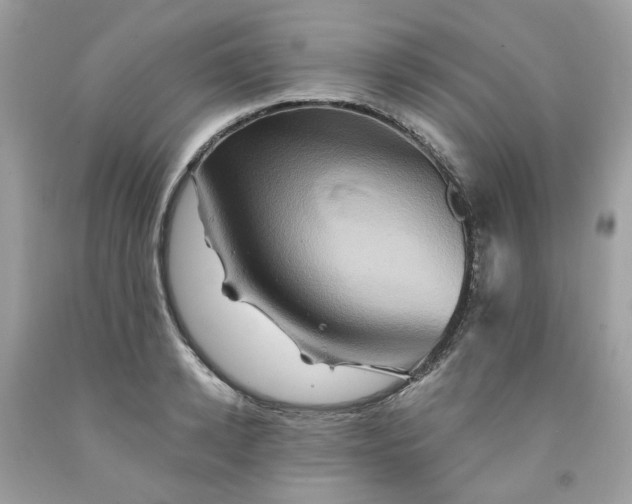 X0000091590942200709051119