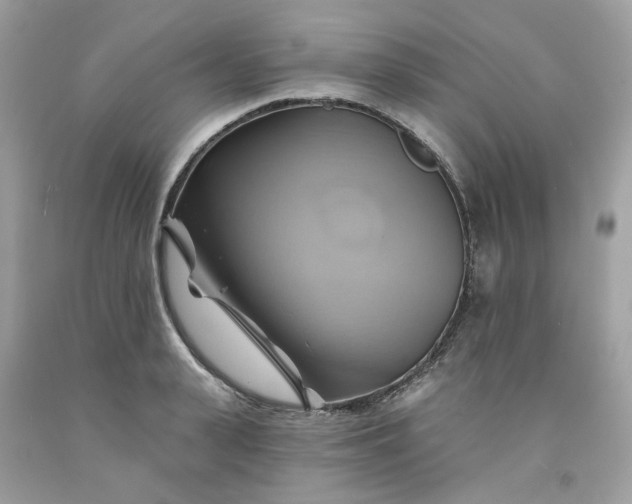 X0000091590943200709051119