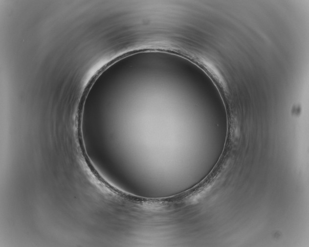 X0000091590944200709051119