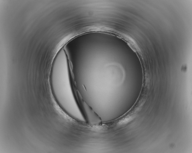 X0000091590946200709051119