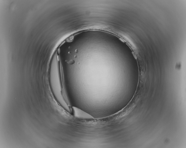 X0000091590948200709051119